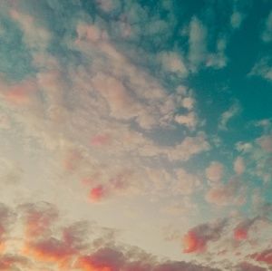 Meet your Posher, Lucy